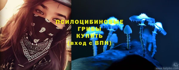 дмт Магас