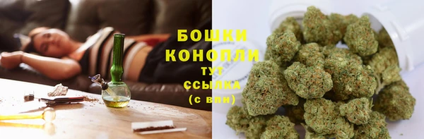 ПСИЛОЦИБИНОВЫЕ ГРИБЫ Майский