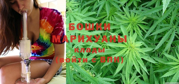 ПСИЛОЦИБИНОВЫЕ ГРИБЫ Магадан