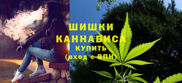 дмт Магас