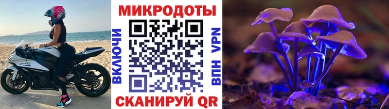 Галлюциногенные грибы Psilocybine cubensis  Купить закладки  Шлиссельбург 